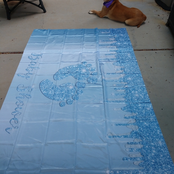 Decorative backdrop cloth with the design shown will come in unopened package - Picture 6 of 12